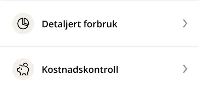 Månedlige kostnader: detaljert forbruk og kostnadskontroll