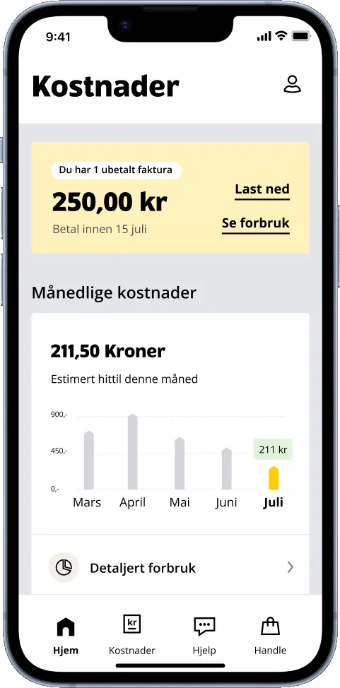 Kostnader-siden i appen