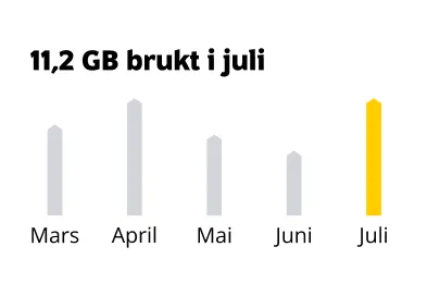 Kort som viser månedlig databruk