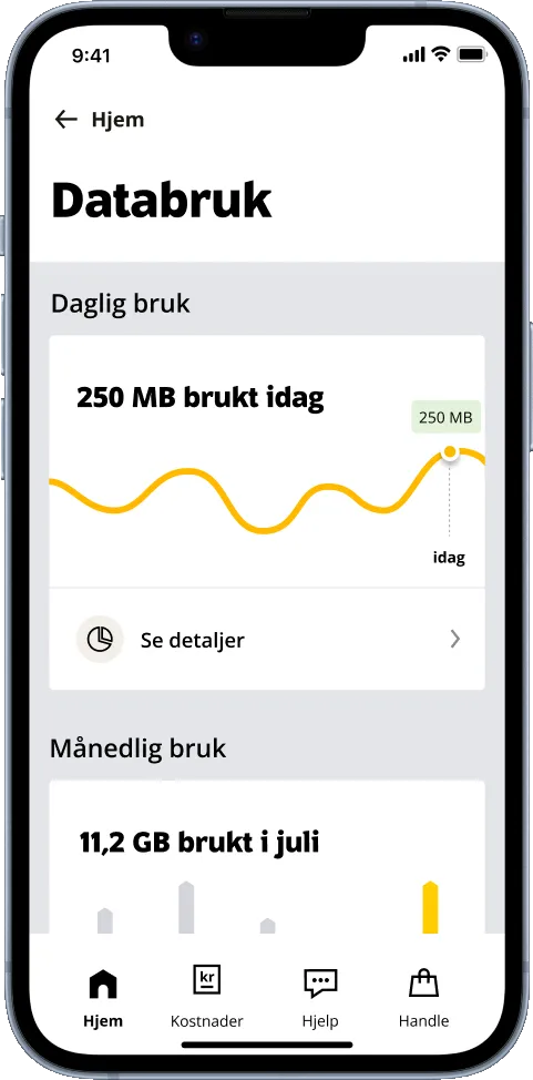 Databruk-siden i appen, med daglig og månedlig bruk